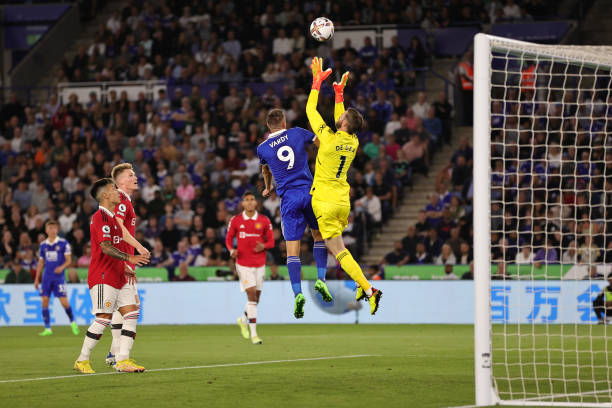 也成为国内 也成为国内